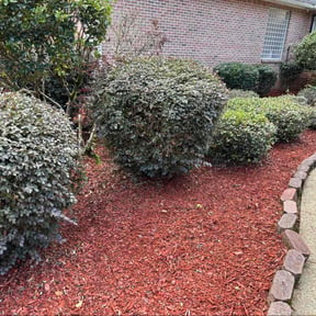 Bush Trimming by Vero one landscaping reviewed on August 21, 2026
