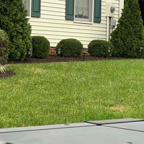 Bush Trimming by Family Gang Lawn reviewed on November 10, 2025