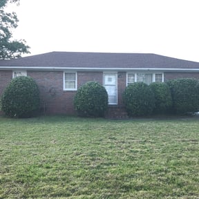 Bush Trimming by Cutt Em All Maintenance and Services reviewed on August 19, 2025
