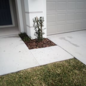 Bush Trimming by Bigfoot Landscape Group . Com reviewed on August 17, 2025