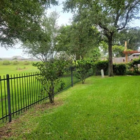 Tree Trimming by Belmontes Landscape LLC reviewed on July 12, 2025