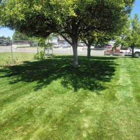 yard maintenance by D’s landscaping reviewed on August 17, 2025