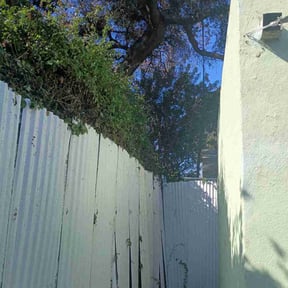 Bush Trimming by Uptown Elite Cleaning Property Services LLC reviewed on December 3, 2025