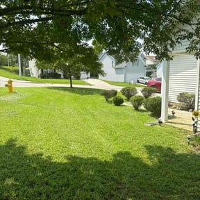 yard care by Paramount Professional Services reviewed on August 17, 2025