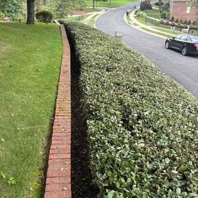 Bush Trimming by Kaylawns reviewed on August 19, 2026
