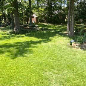 yard care by Cutters Lawn Care reviewed on August 18, 2025