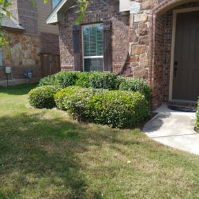 Bush Trimming by Advantage Landscaping reviewed on August 16, 2025