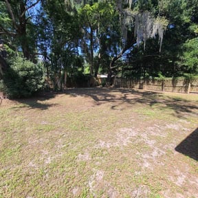 Leaf Removal by Brooks LLC reviewed on September 7, 2025