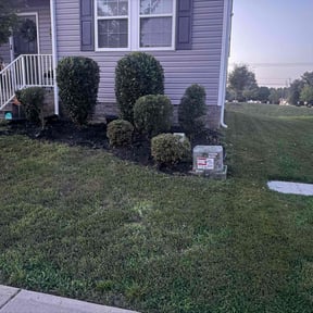Bush Trimming by Yard Solutions reviewed on August 17, 2025