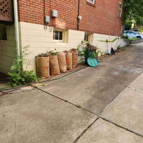 Leaf Removal by Big Country Lawn Care, LLc reviewed on August 20, 2025