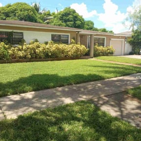 landscaping services by You need a cut reviewed on August 17, 2025