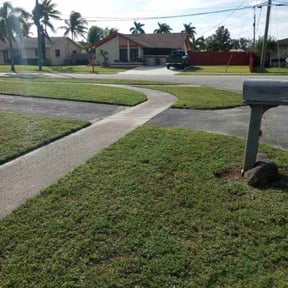 lawn care services by Mora Brothers Tree and Landscaping reviewed on August 15, 2025