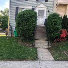Bush Trimming by Palmetto Landscaping, LLC reviewed on August 18, 2025