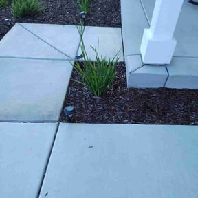 Bush Trimming by ADG Lawncare Services, LLC reviewed on August 15, 2025