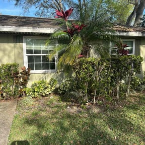 Bush Trimming by NH Landscaping reviewed on July 28, 2025