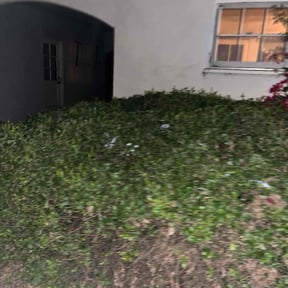 Bush Trimming by Kelly 3 Kutz LLC reviewed on November 26, 2025