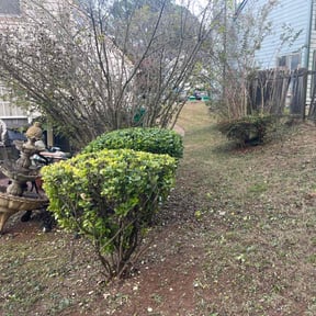 Bush Trimming by Ed’s landscaping reviewed on October 21, 2025