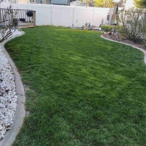 landscaping services by Jones Cleanup Removals and Rentals reviewed on August 19, 2025