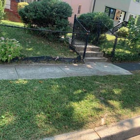 Bush Trimming by My Family Lawn Care reviewed on August 21, 2025