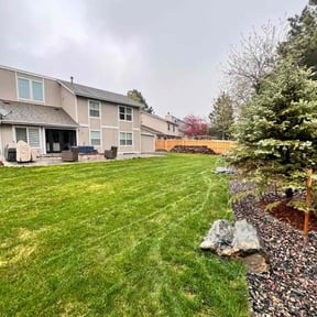 yard maintenance by Elevated Yards reviewed on November 24, 2025