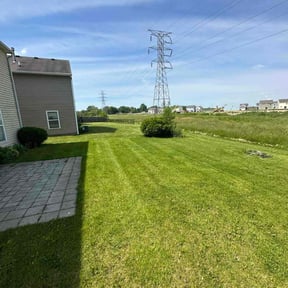 yard work by Blue Lagoon Lawn Service reviewed on August 17, 2025