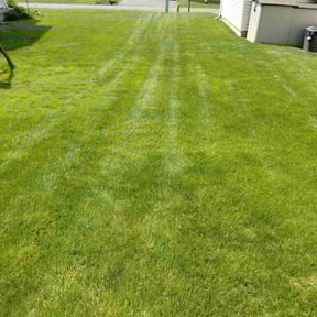 lawn care by Alexandrino lawn care reviewed on September 10, 2024