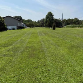 grass maintenance by Royal Scenery LLC reviewed on August 19, 2025