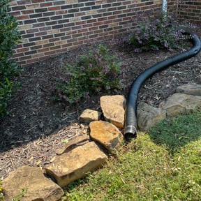 Flower Bed Weeding by On Point Lawn Care reviewed on October 21, 2025