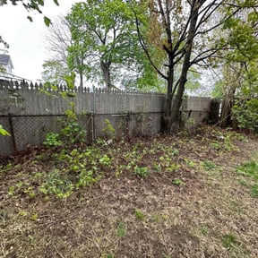 Leaf Removal by Griner services reviewed on September 21, 2025