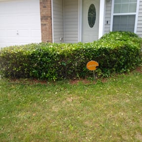 Bush Trimming by SGP Lawn Services reviewed on August 15, 2025