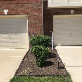 Bush Trimming by Yanez Brothers Landscaping reviewed on August 20, 2025