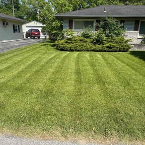 grass maintenance by Jernie Lawn Care reviewed on July 26, 2022
