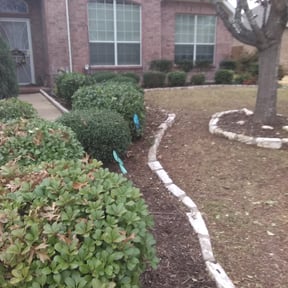 Bush Trimming by The Green rose reviewed on August 17, 2025