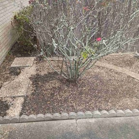 Flower Bed Weeding by Peter Razo reviewed on October 20, 2025