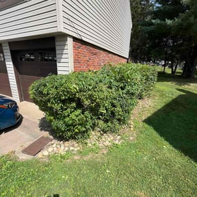 Bush Trimming by Topeka Discount lawn Service reviewed on October 21, 2025