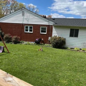 lawn care services by TNT Lawn Care reviewed on May 8, 2024