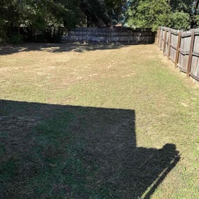 Bush Trimming by Above the Lawn reviewed on April 29, 2020