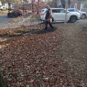 Leaf Removal by Moses Enterprise  llc reviewed on September 22, 2025