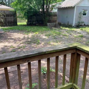 Leaf Removal by Carbon Dioxide Recyclers reviewed on September 21, 2025