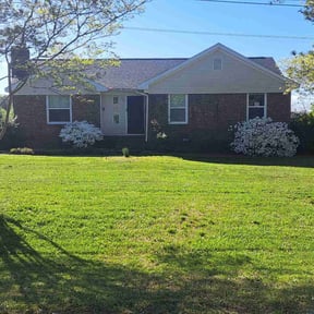 yard care by True lawn reviewed on August 16, 2025