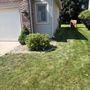 Bush Trimming by Marias Lawn Care reviewed on July 12, 2026