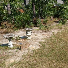 Leaf Removal by Amelias Lawn Professionals reviewed on September 26, 2025