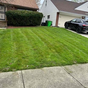 lawn care services by The Williams reviewed on June 29, 2023