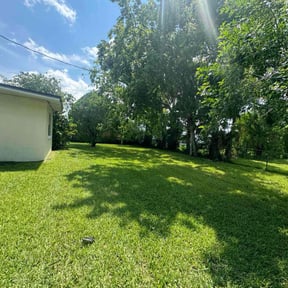 yard service by Brevard Lawn Masters reviewed on November 22, 2025