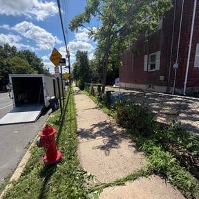 Bush Trimming by Max lawncare reviewed on July 6, 2026