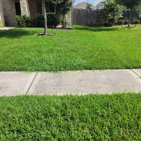 lawn maintenance by Carter Lawn Service reviewed on August 16, 2025
