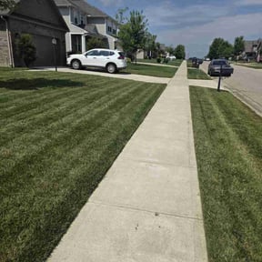 turf care by LRV Lawn Care Limited reviewed on August 15, 2025