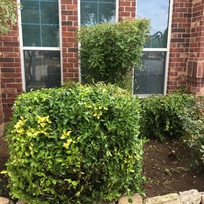 Flower Bed Weeding by Nomadic Hustle Lawn Care reviewed on August 15, 2025
