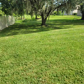 yard work by Almost Perfect lawncare reviewed on August 18, 2025
