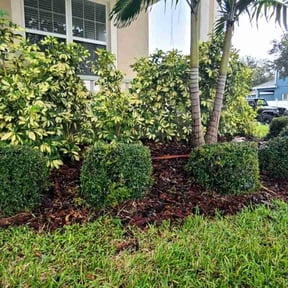 lawn care by Pure Climate LLC reviewed on August 14, 2025